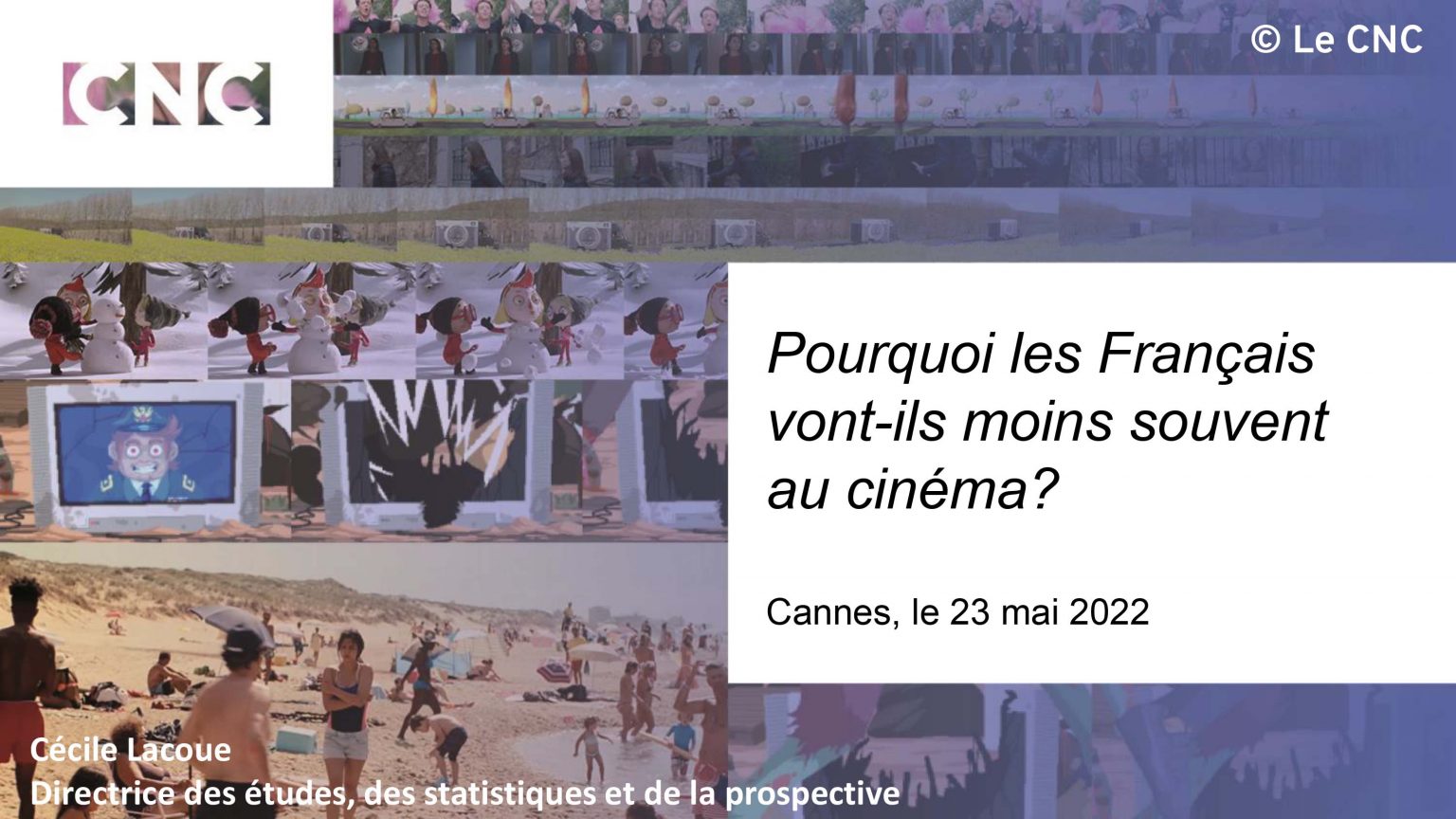 Pourquoi les Français vont moins au cinema Poster.jpg
